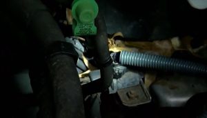 How Do You Keep Squirrels Out Of Car Engines