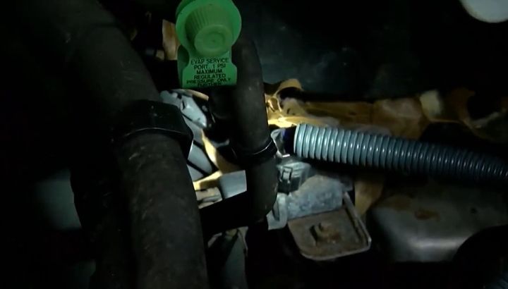 How Do You Keep Squirrels Out Of Car Engines